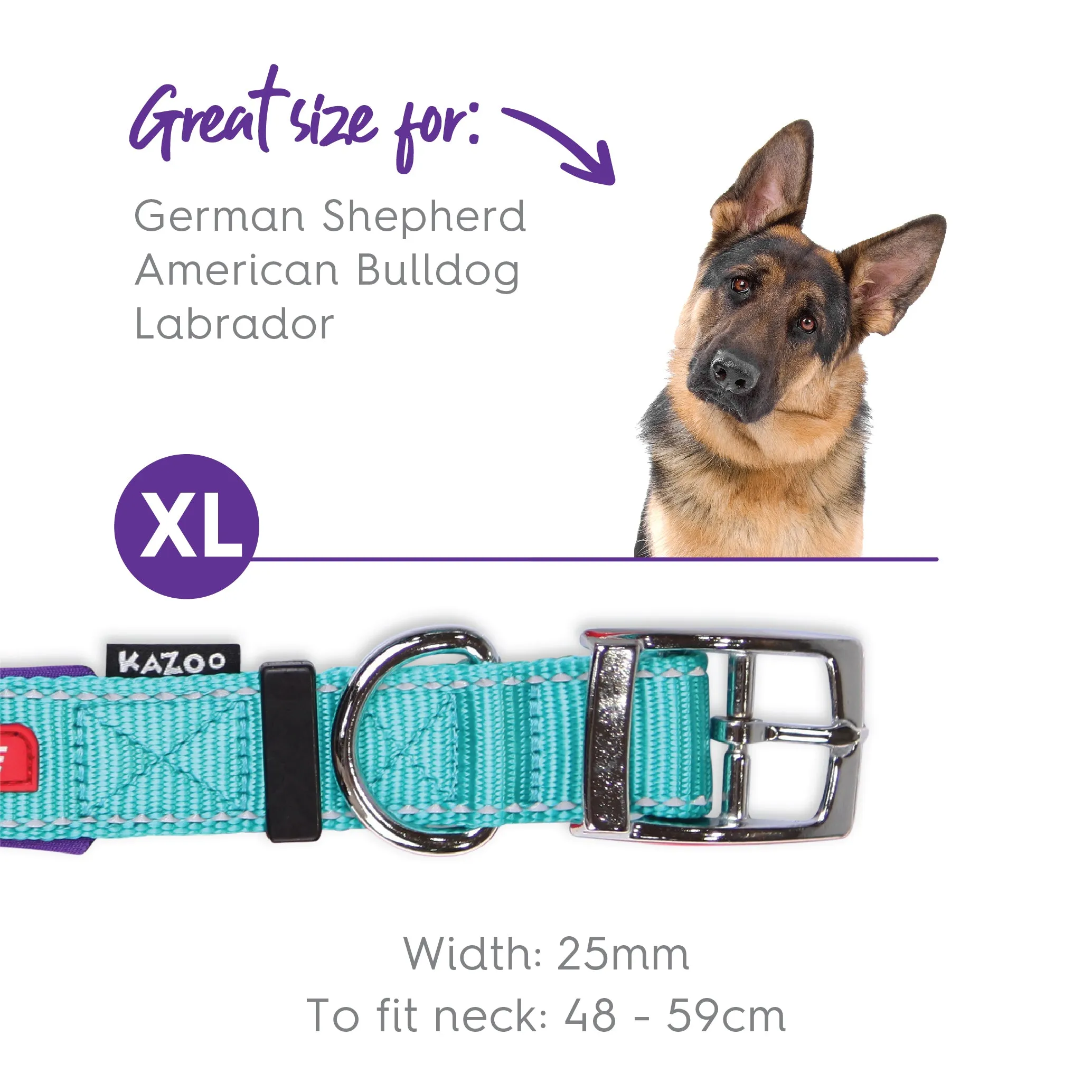 Active Dog Collar - Aqua & Purple