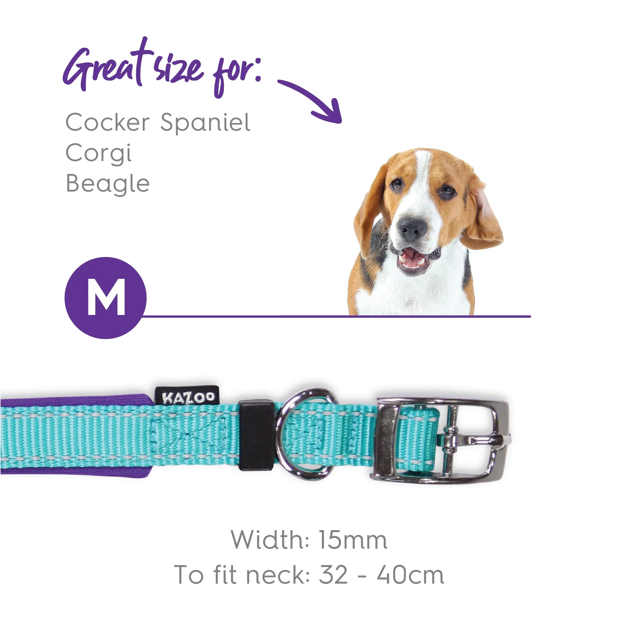 Active Dog Collar - Aqua & Purple