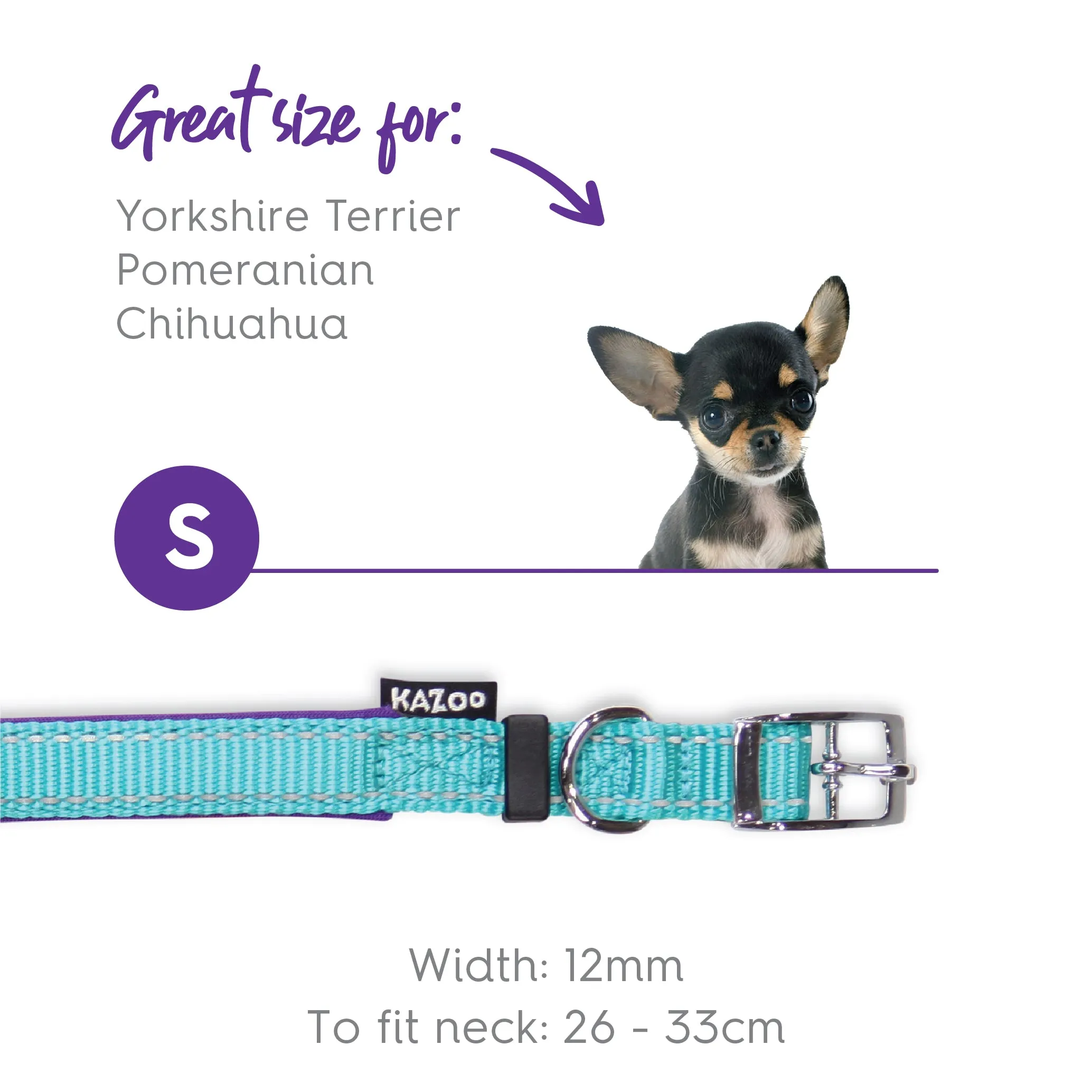 Active Dog Collar - Aqua & Purple