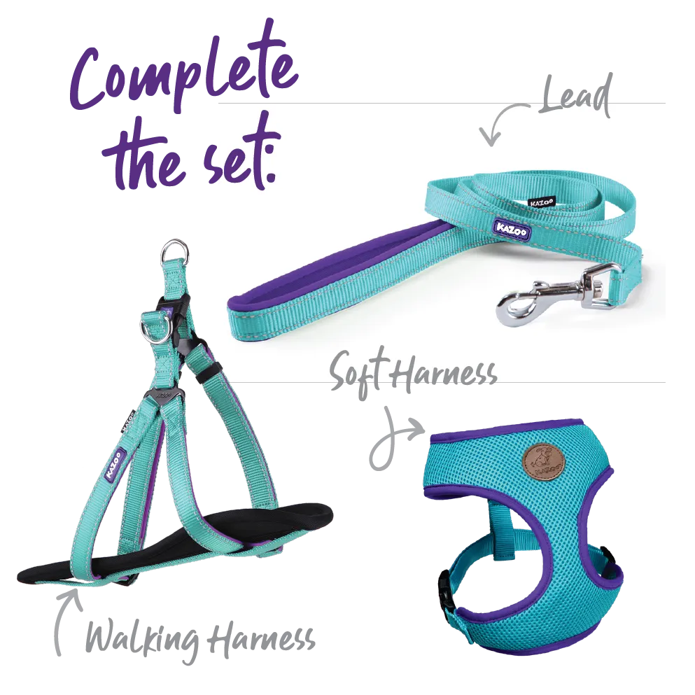 Active Dog Collar - Aqua & Purple