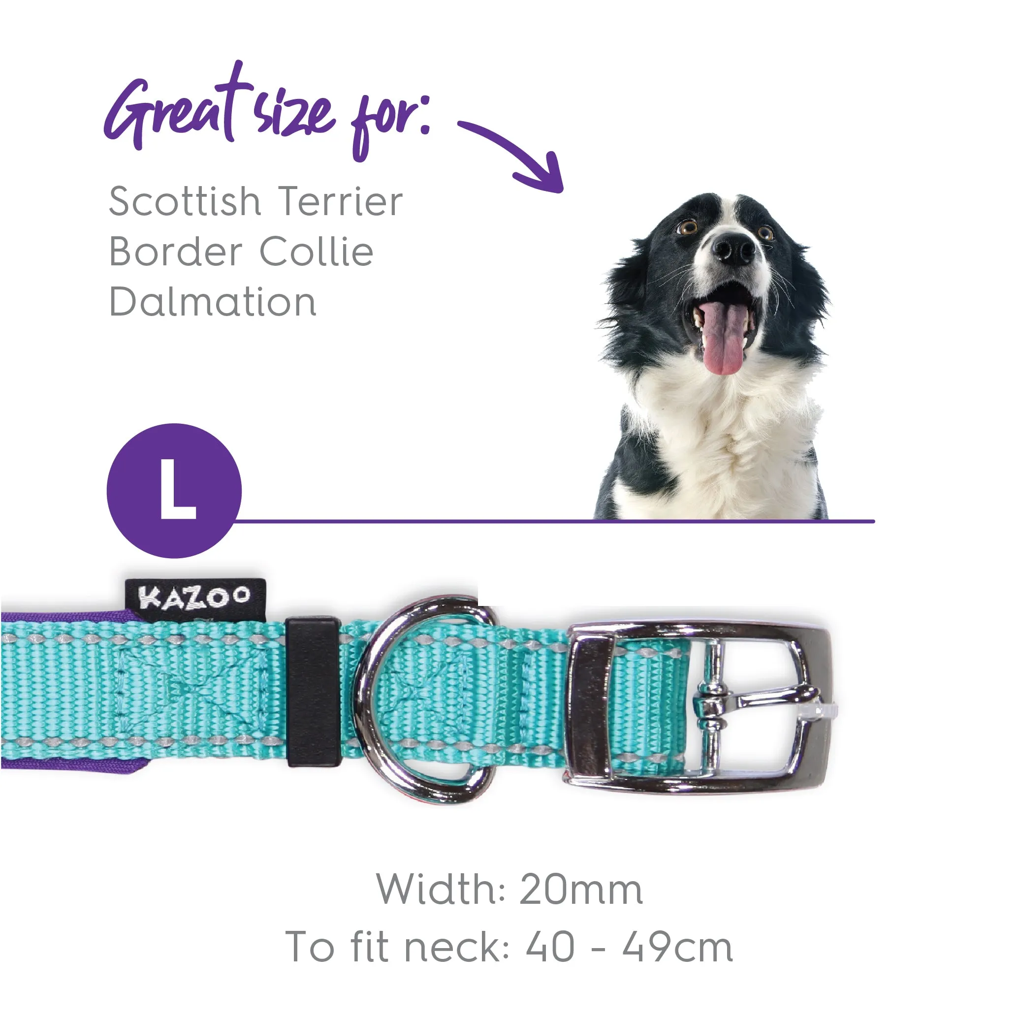 Active Dog Collar - Aqua & Purple