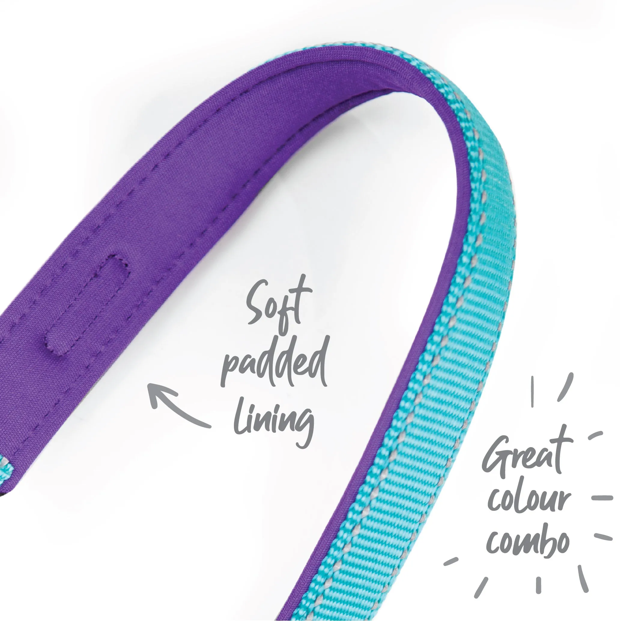 Active Dog Collar - Aqua & Purple