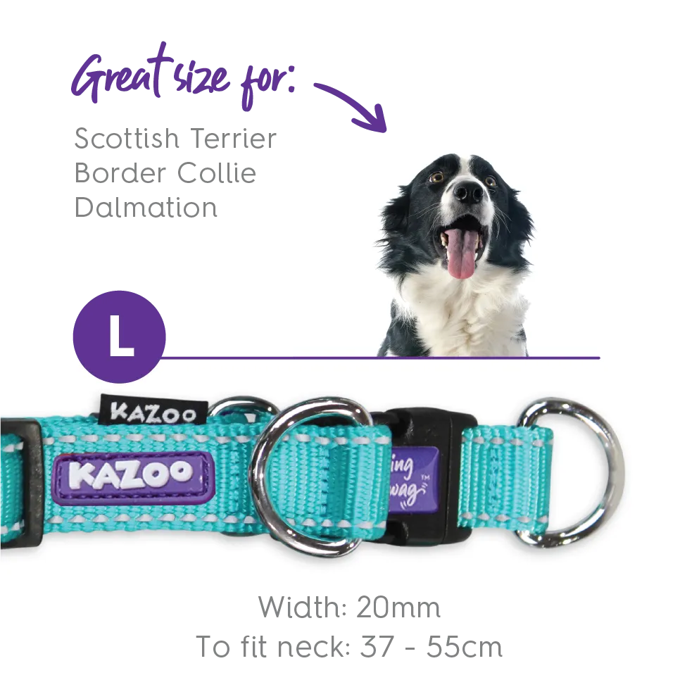 Active Easy-clip Dog Collar - Aqua & Purple