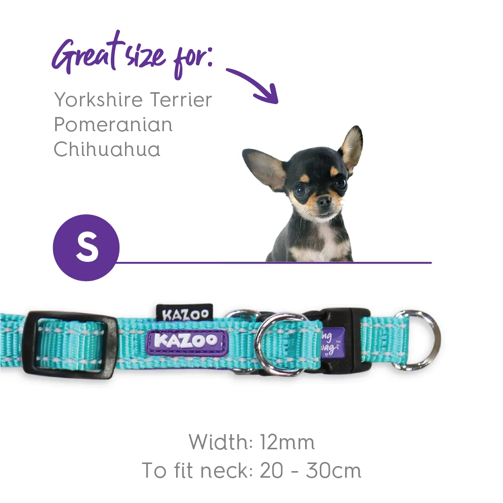 Active Easy-clip Dog Collar - Aqua & Purple