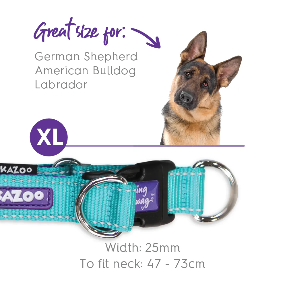 Active Easy-clip Dog Collar - Aqua & Purple