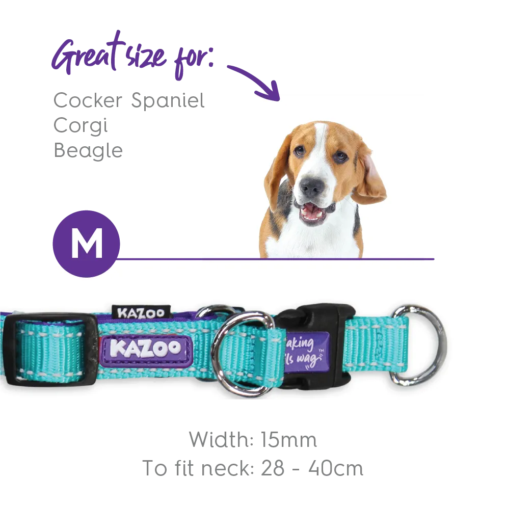 Active Easy-clip Dog Collar - Aqua & Purple