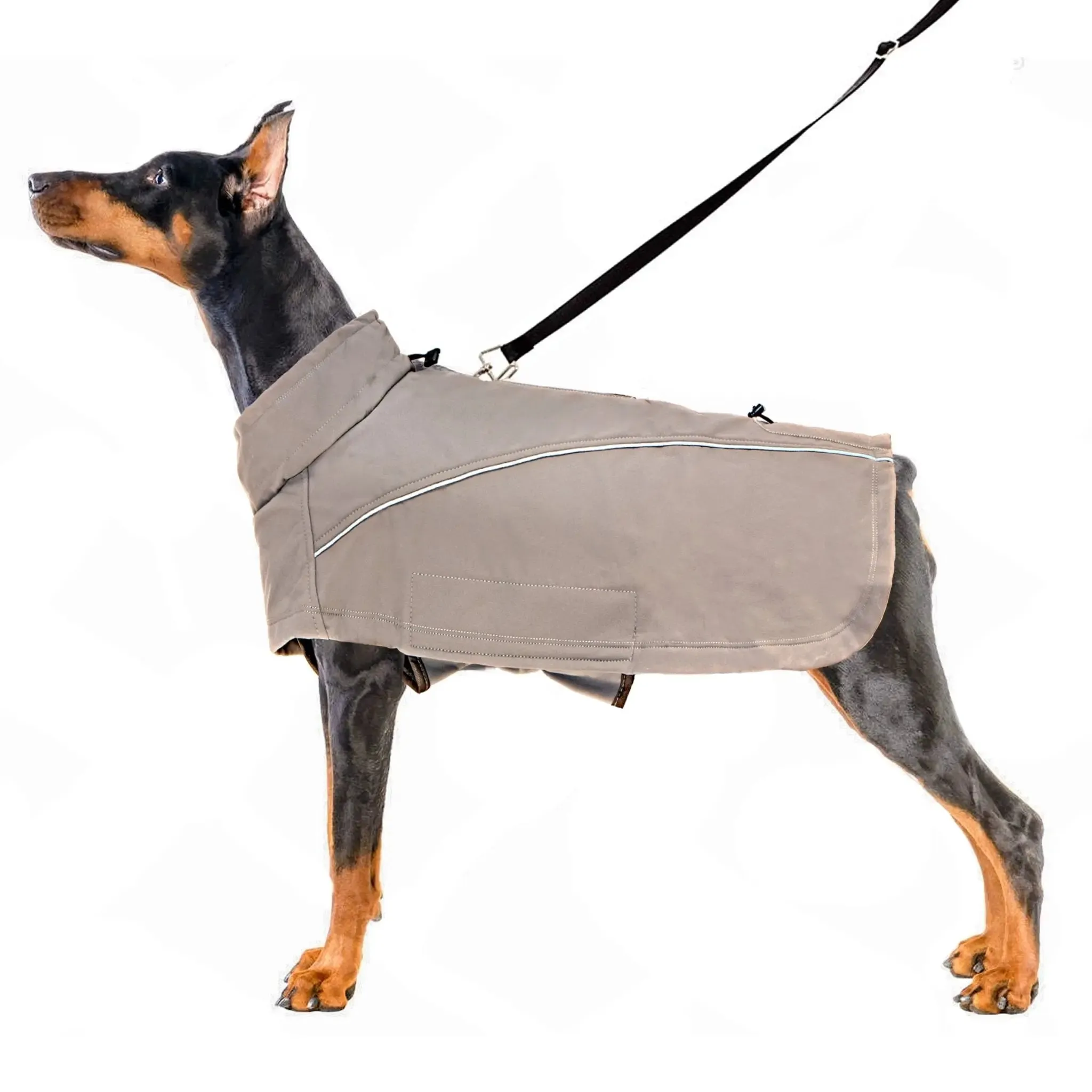 Anniepaw Aurora Elite Waterproof Windbreaker Coat