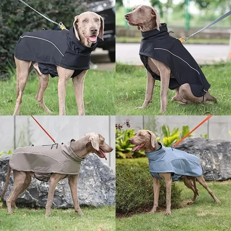 Anniepaw Aurora Elite Waterproof Windbreaker Coat