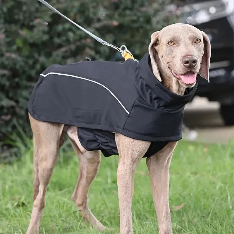 Anniepaw Aurora Elite Waterproof Windbreaker Coat