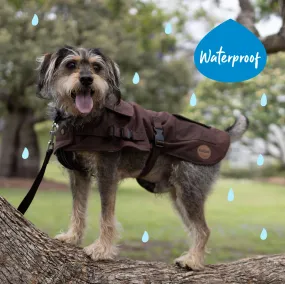 Aussie Oilskin Waterproof Dog Coat - Brown