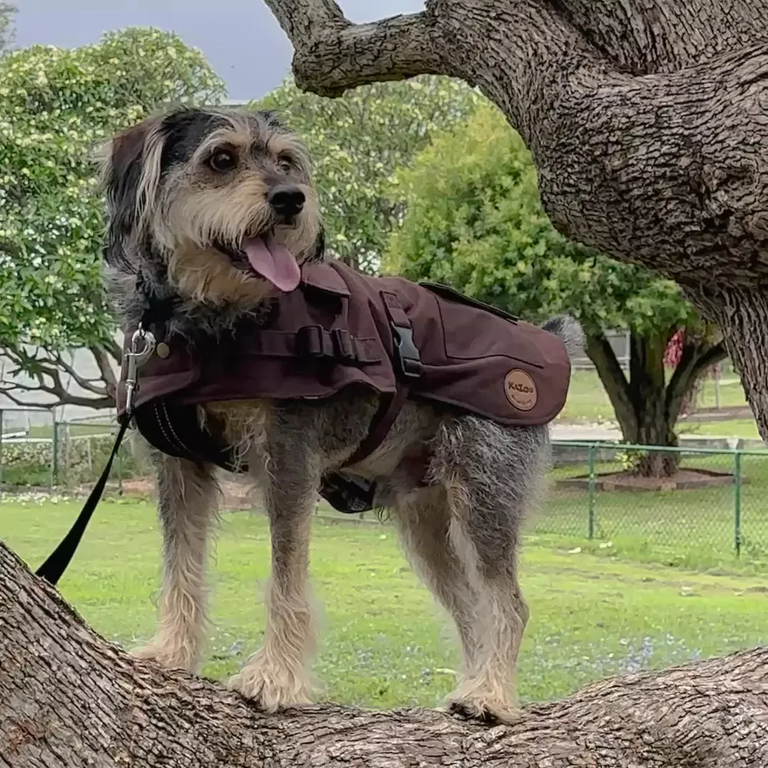 Aussie Oilskin Waterproof Dog Coat - Brown