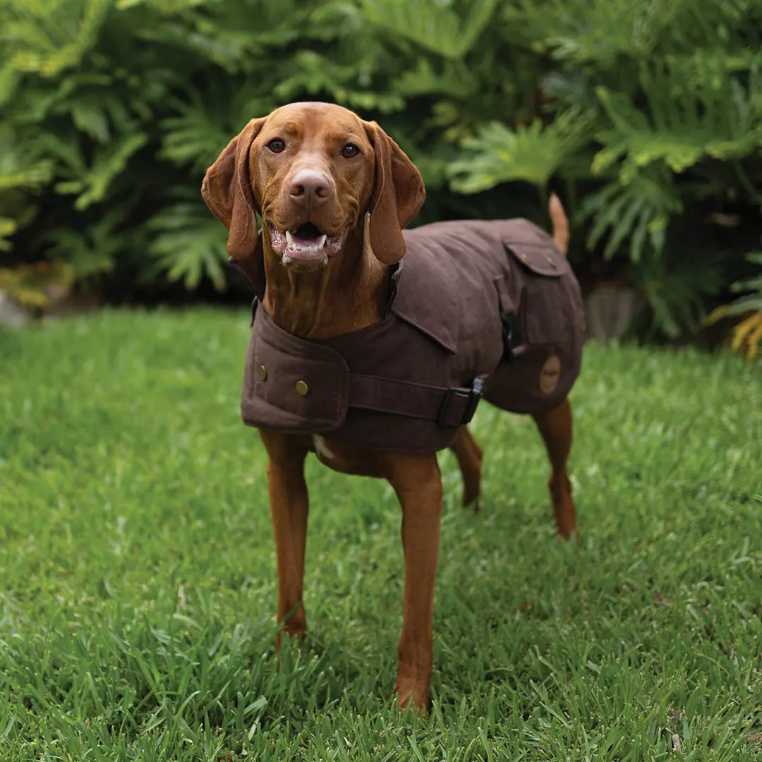 Aussie Oilskin Waterproof Dog Coat - Brown