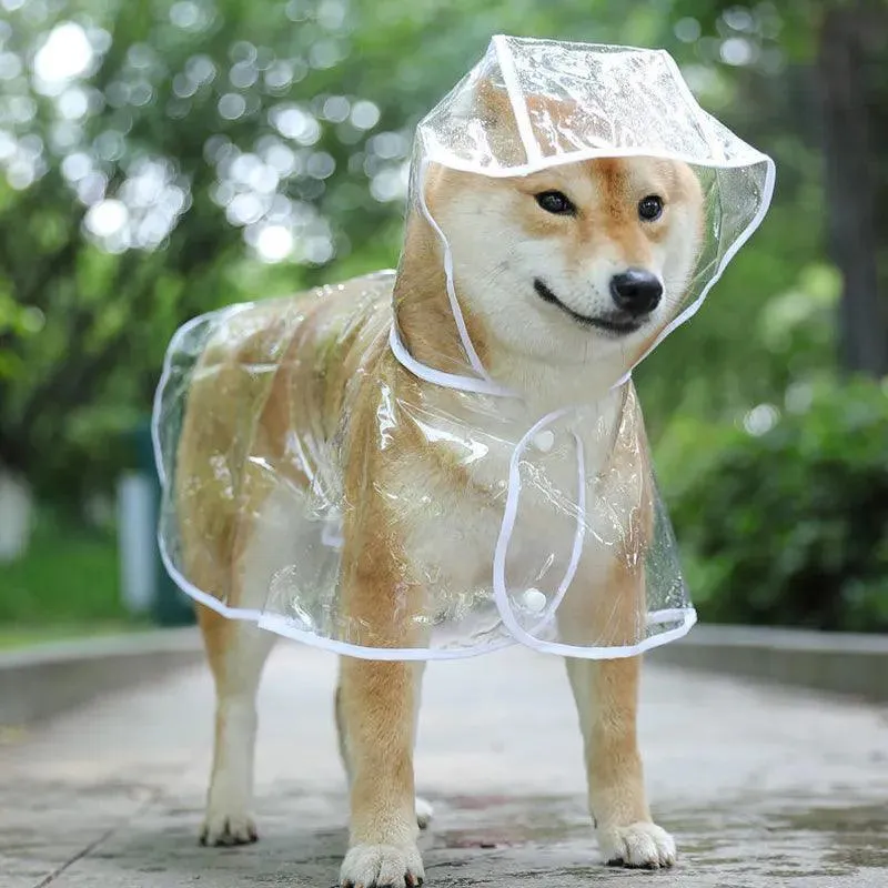 Clear Dog Rainwear: Fashionable Waterproof Jacket for Small Breeds - Stay Stylish & Dry