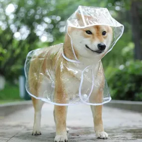 Clear Dog Rainwear: Fashionable Waterproof Jacket for Small Breeds - Stay Stylish & Dry