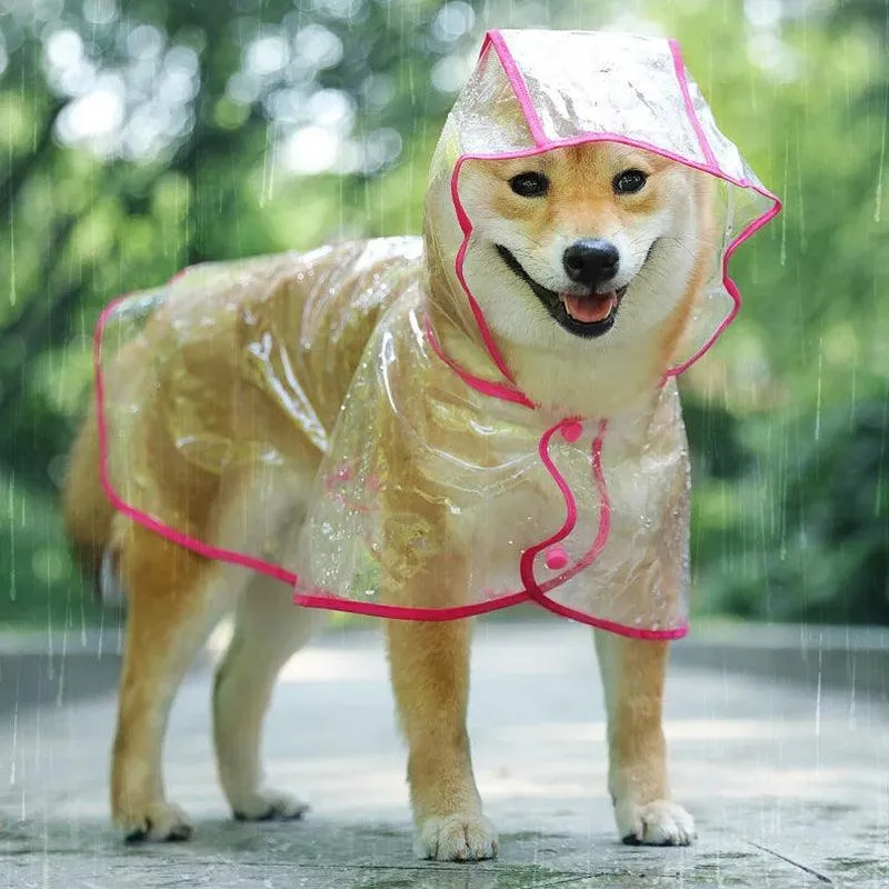 Clear Dog Rainwear: Fashionable Waterproof Jacket for Small Breeds - Stay Stylish & Dry