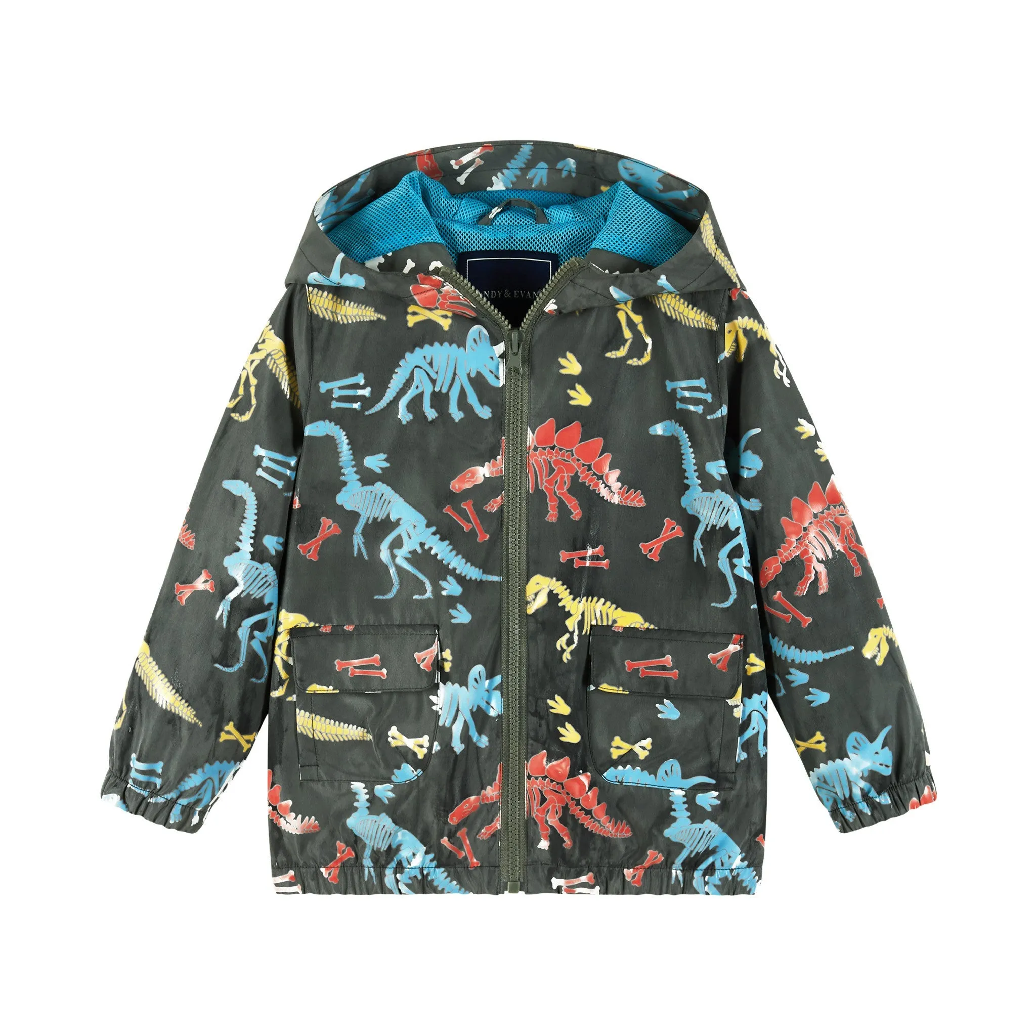 Color Change Raincoat | Dinosaur Fossils