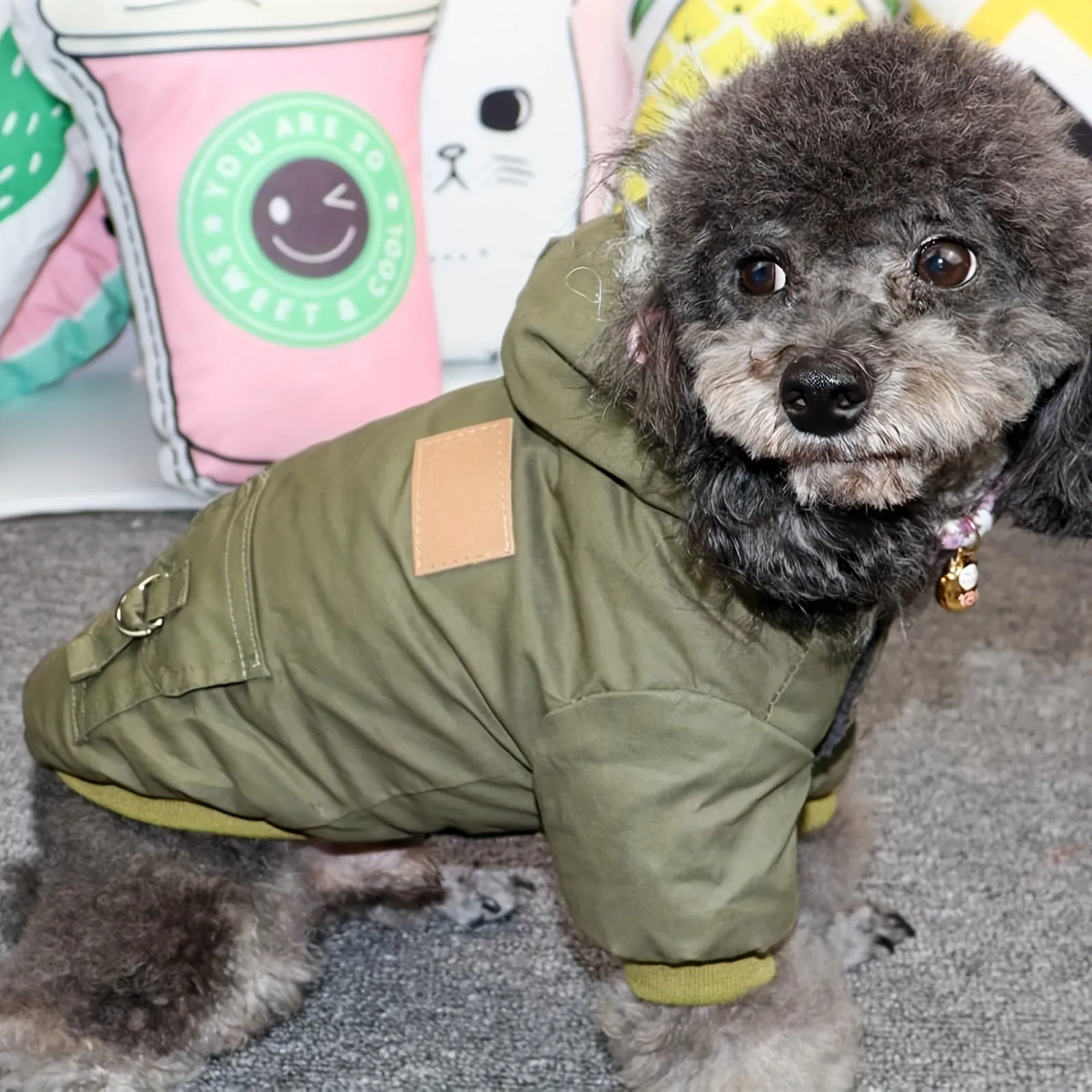 Cozy Winter Coat Perfect for Small Dogs Under 20lb907KG