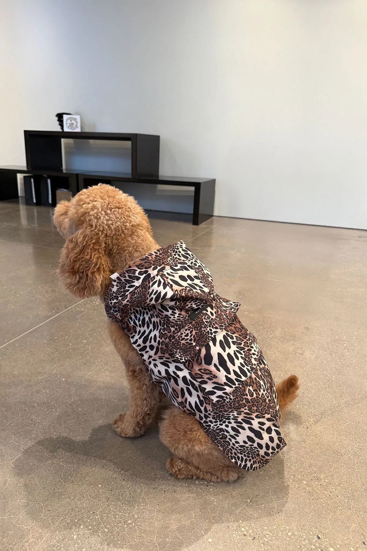 Luxe Leopard Raincoat